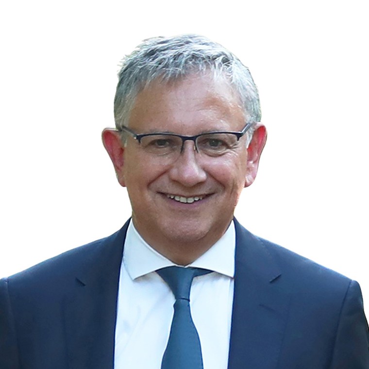Jean Louis COSTES, Vice-Président